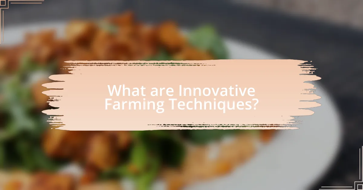 What are Innovative Farming Techniques?