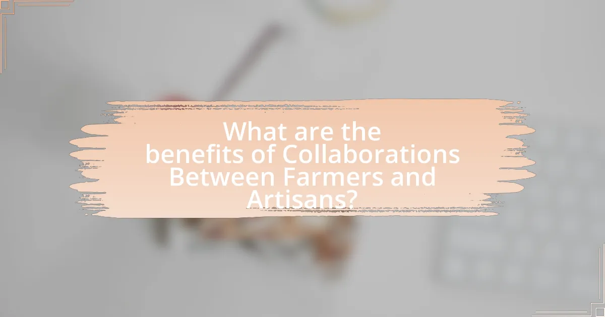 What are the benefits of Collaborations Between Farmers and Artisans?